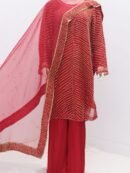 Pure Tissue Fabric Heavy  Moti sitari Design 3 Piece Suit