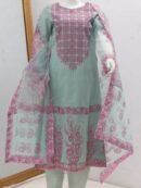 Pure Tissue Fabric Block Print With Mirror Stone Design 3 Piece Suit