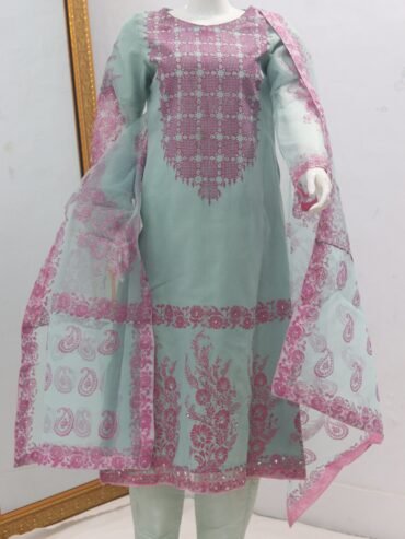 Pure Tissue Fabric Block Print With Mirror Stone Design 3 Piece Suit